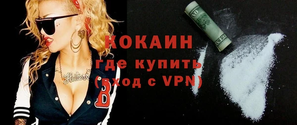 сатива Беломорск