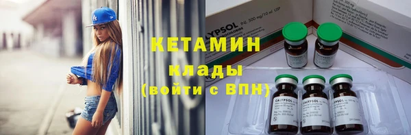 сатива Беломорск