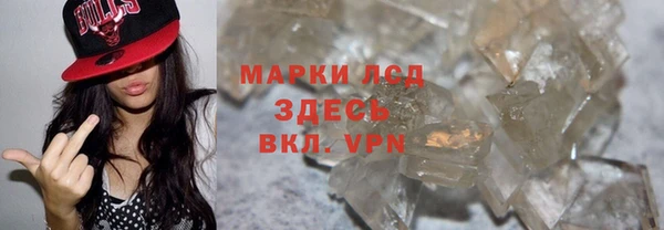 сатива Беломорск