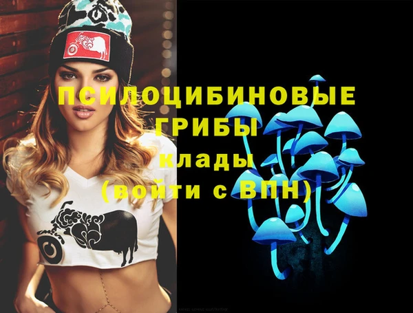 первитин Белоозёрский