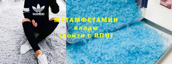 сатива Беломорск