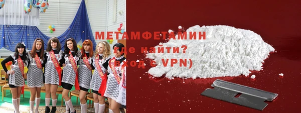 сатива Беломорск