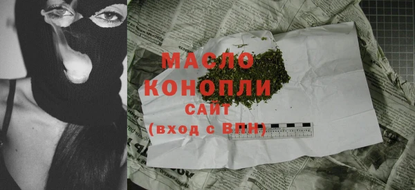 сатива Беломорск