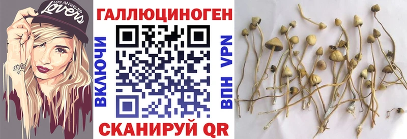 Галлюциногенные грибы Magic Shrooms  Пыть-Ях 